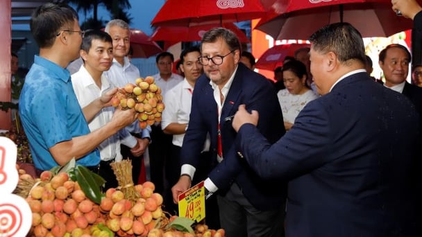 Tien Giang introduces fruits to domestic and international consumers